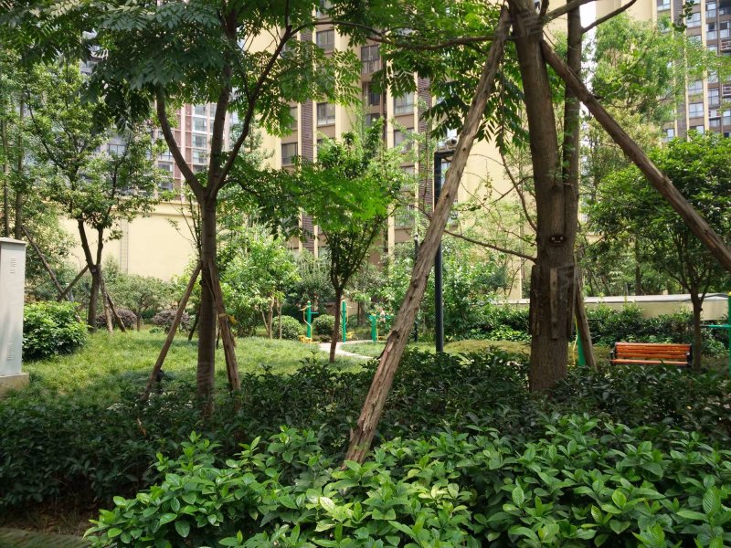 海棠佳苑,红豆树街77号-成都海棠佳苑二手房,租房,房价-成都安居客