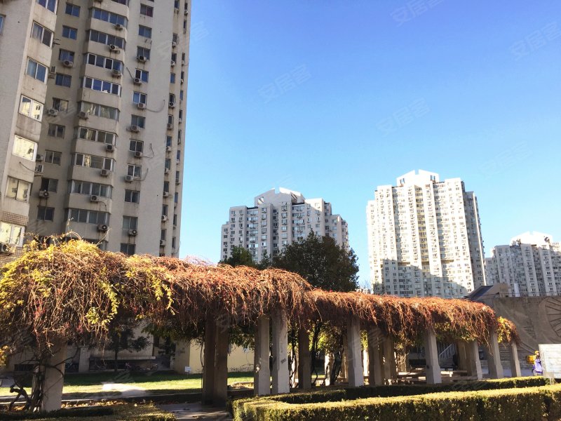 望京西园四区,阜通西大街-北京望京西园四区二手房,租房,房价-北京