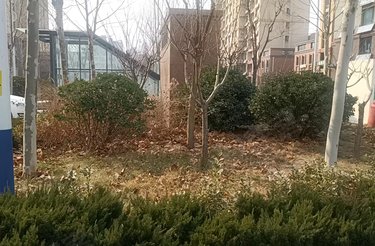 明佳花园 南一路339号 东营明佳花园二手房 租房 房价 东营安居客