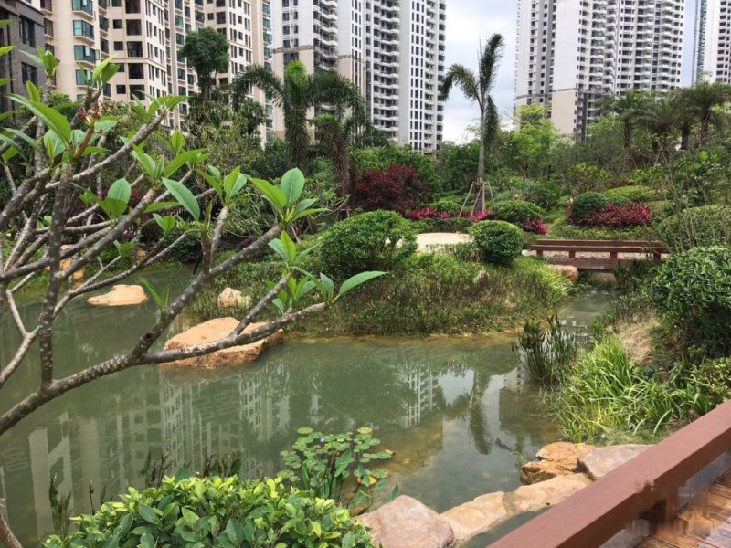 龙光玖珑湖(一期),凤凰路11号-南宁龙光玖珑湖(一期)二手房,租房,房价