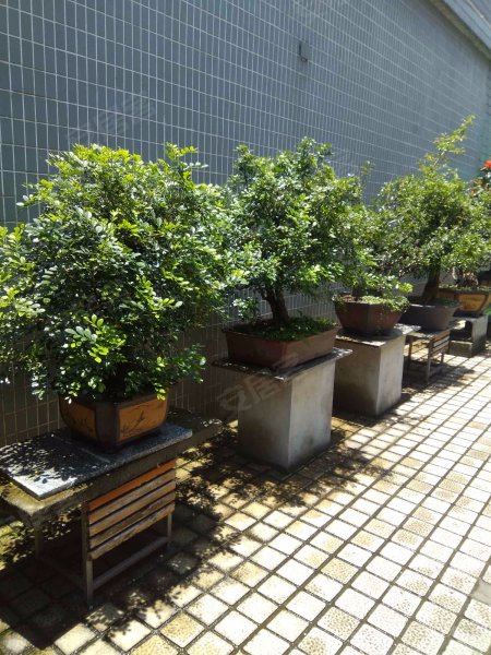 福莱花园,水荫直街西6巷23号-广州福莱花园二手房,租房,房价-广州安居