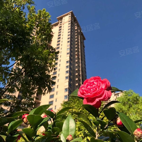 班芙小镇,度假村专用道北36号-广州班芙小镇二手房,租房,房价-广州