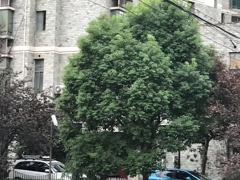 阳光美景城(三期) 