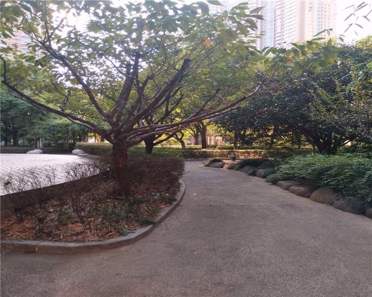 滨江兰庭,浦城路786弄-上海滨江兰庭二手房,租房,房价-上海安居客