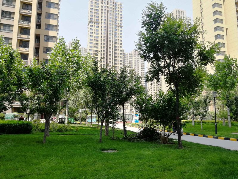 东南智汇城牡丹园