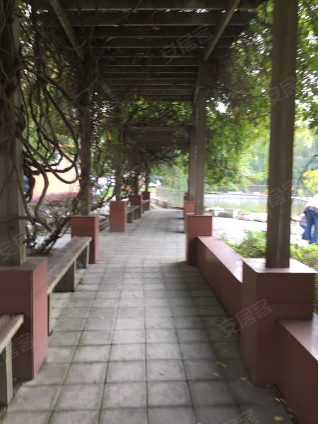 环绿国际(别墅) 