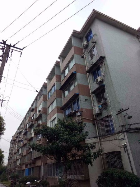 泰和新城(3381弄94-141号)