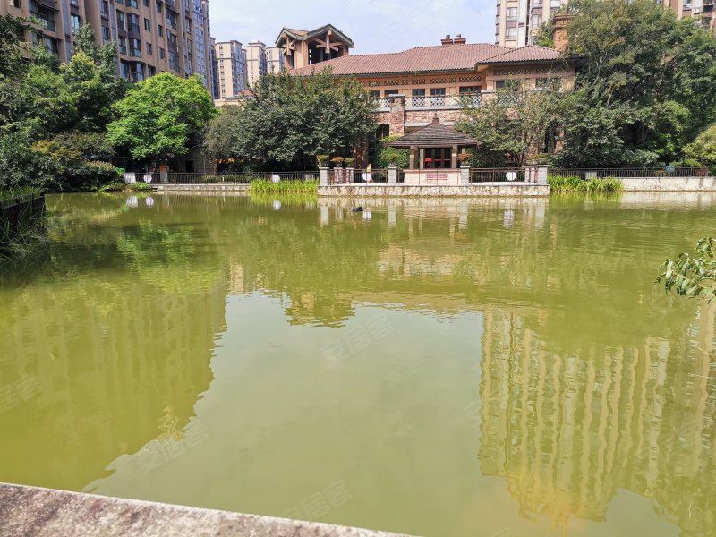 鹭湖国际,彭寿街525号-眉山鹭湖国际二手房,租房,房价-眉山安居客