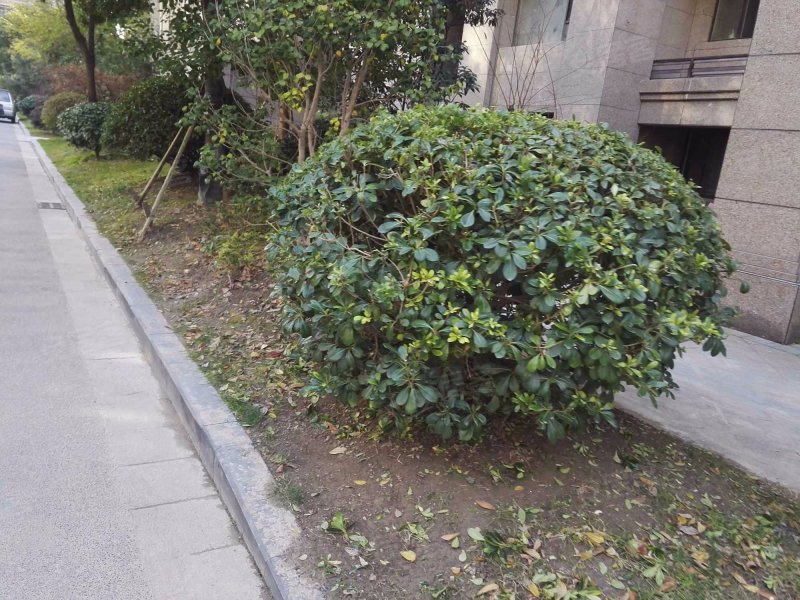 水榭花城,新金西路6号-南通水榭花城二手房,租房,房价-南通安居客