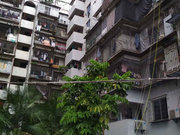 乌山路小区图片