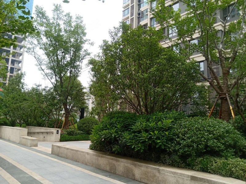 瑞锦小区梅花苑