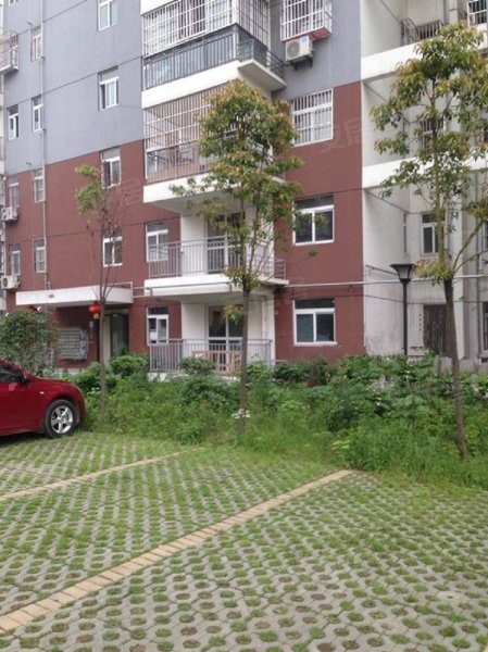 鹏程中泰花园,堤东街1号