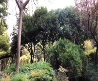 古桐路50弄小区 