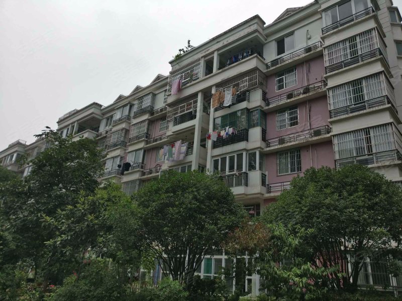 梦园小区(蜀山),海关路15号-合肥梦园小区(蜀山)二手房,租房,房价