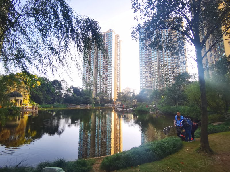 恒大城(二期),巴南大道9号-重庆恒大城(二期)二手房,租房,房价-重庆