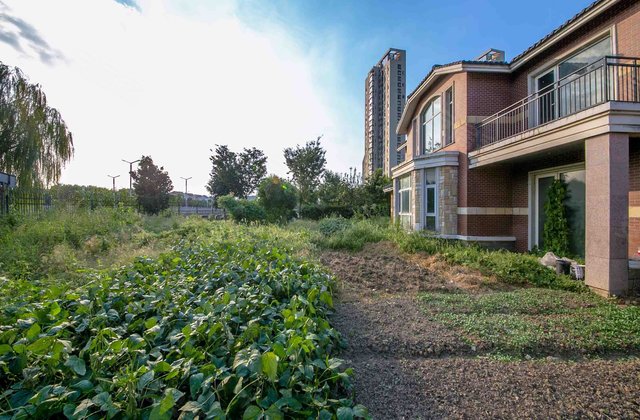 丽滩别墅5室3厅623.6㎡1450万二手房图片