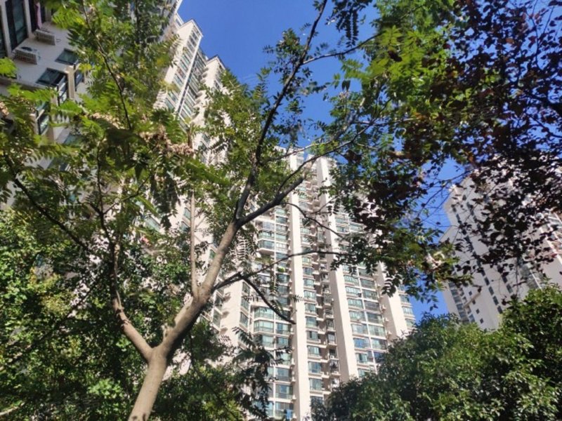 中远两湾城(三期)