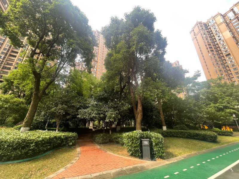 天伦国际,青年中路-岳阳天伦国际二手房,租房,房价-岳阳安居客