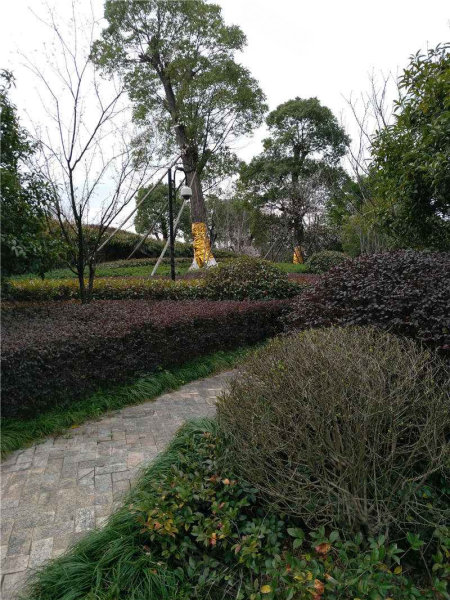 台州香格里拉花园图片