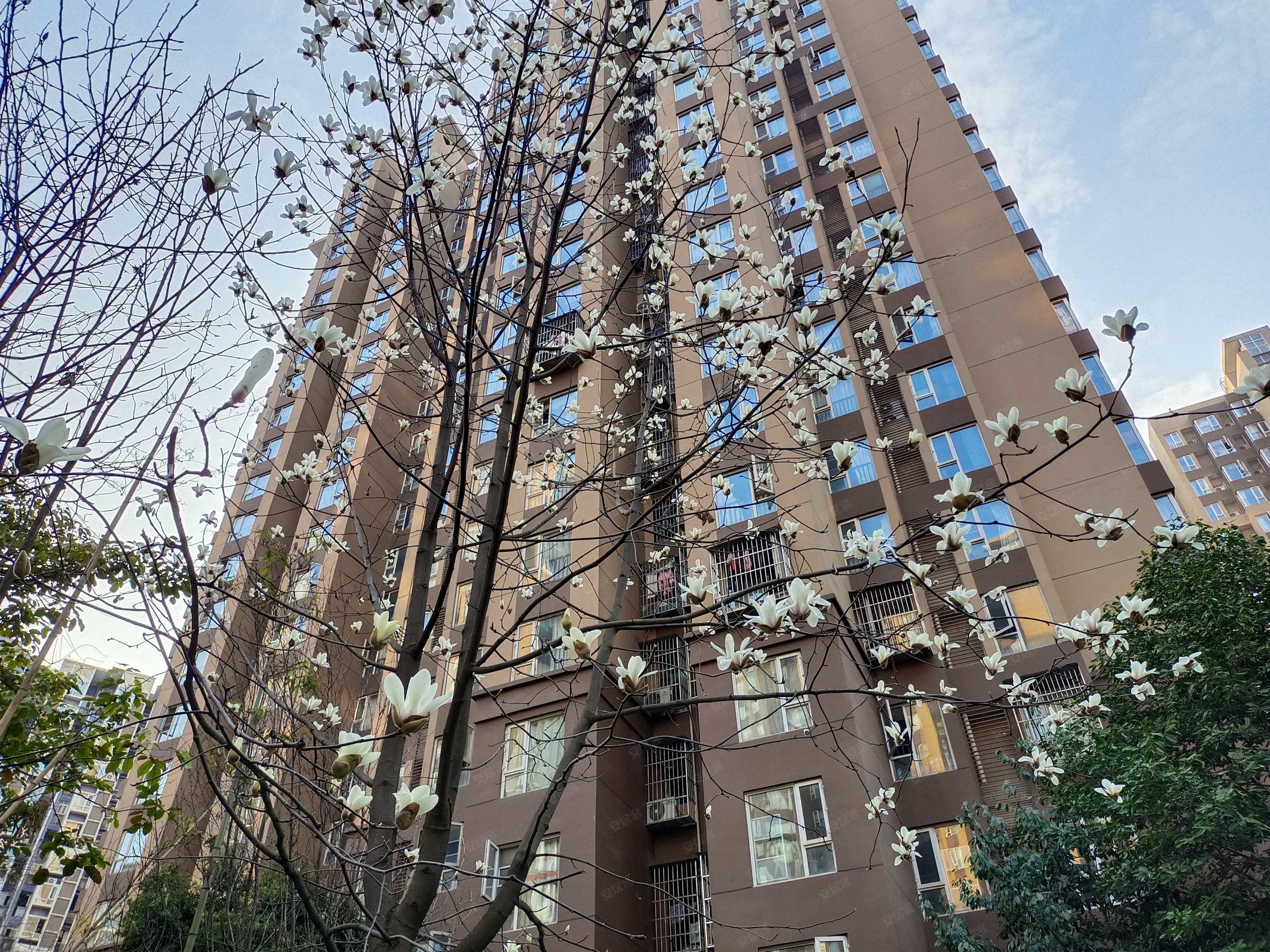 海桐小区三期出行方便带电梯近地铁近医院房东直卖