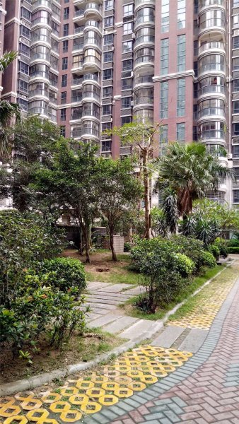 晋兴御园,龙寿路29号-深圳晋兴御园二手房,租房,房价-深圳安居客