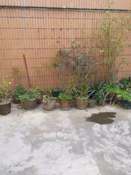 黄岐宏威花园,广佛路73号-佛山黄岐宏威花园二手房,租房,房价-佛山