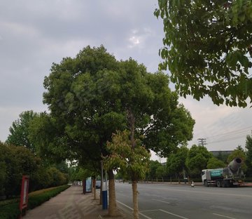 诚通龙蟠汇