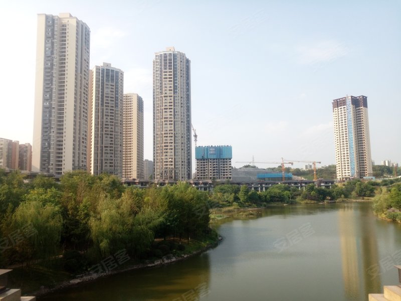 中建御湖壹号,冬山路7号-重庆中建御湖壹号二手房,租房,房价-重庆安居