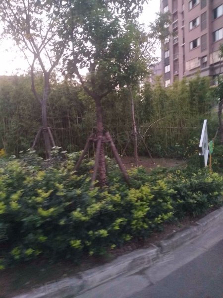 嘉海雅苑(东区) 