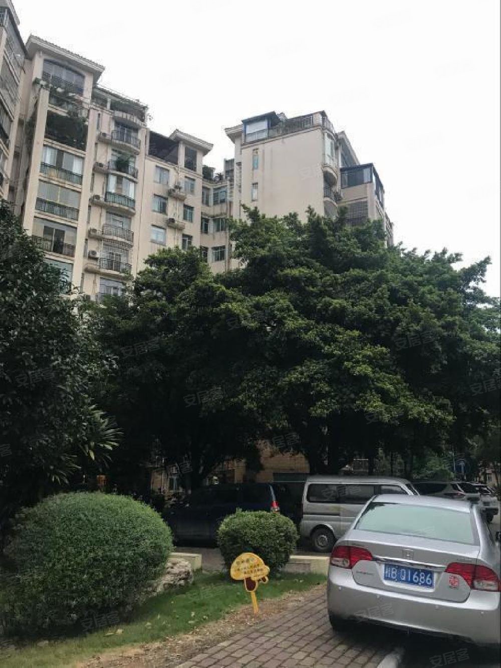 鱼峰区楼中楼金河湾5室2厅清水毛坯