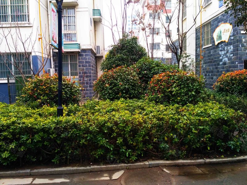 学府雅苑,太湖路212号-宿迁学府雅苑二手房,租房,房价-宿迁安居客