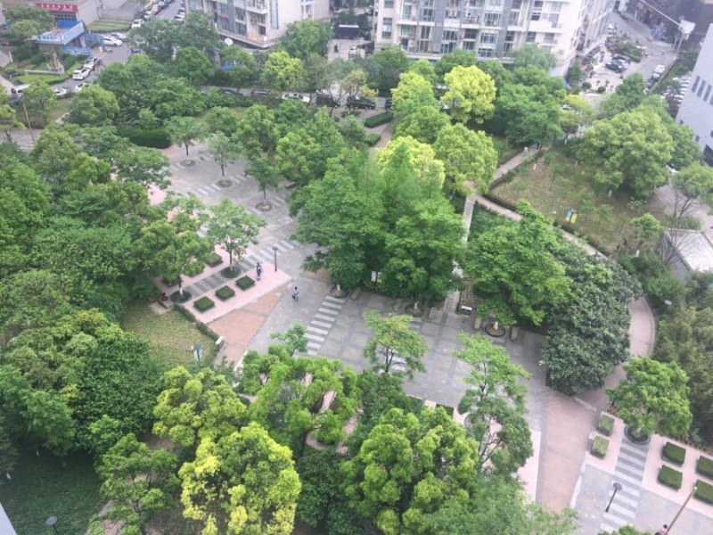 禹洲金桥国际一期 