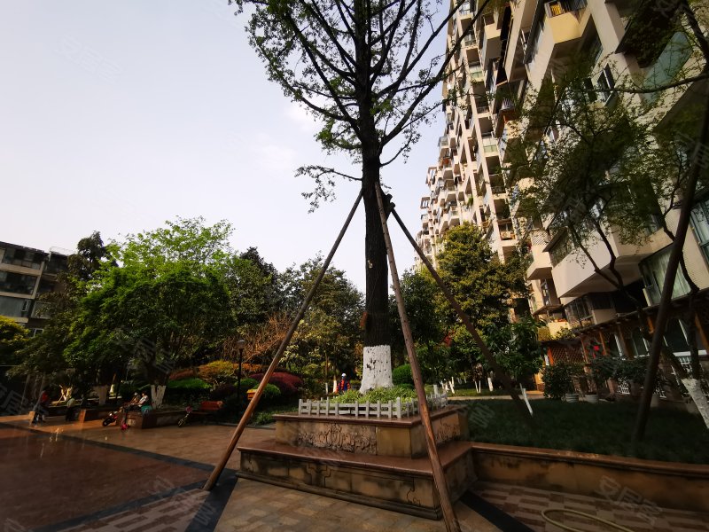 泊景湾,龙腾中路12号,龙腾正街180号-成都泊景湾二手房,租房,房价