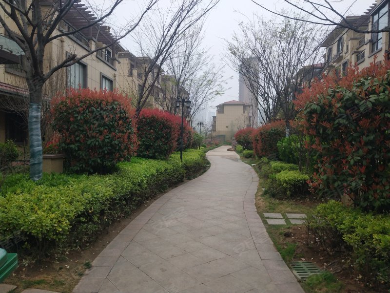 中坚一品,西昌北路,近枣曹路-枣庄中坚一品二手房,租房,房价-枣庄安居