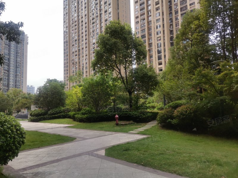 中洋公园首府,兴国路-赣州中洋公园首府二手房,租房,房价-赣州安居客