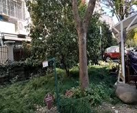 昆仑花苑 桃浦路1149弄 上海昆仑花苑二手房 租房 房价 上海安居客 昆仑花苑 桃浦路1149弄 上海昆仑花苑二手房 租房 房价 上海安居客