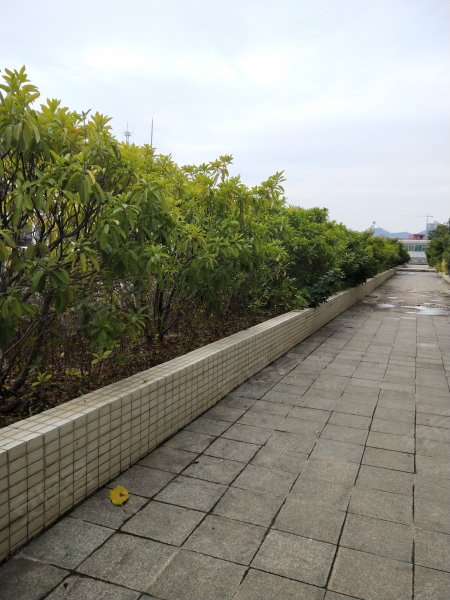 太阳广场(横县)