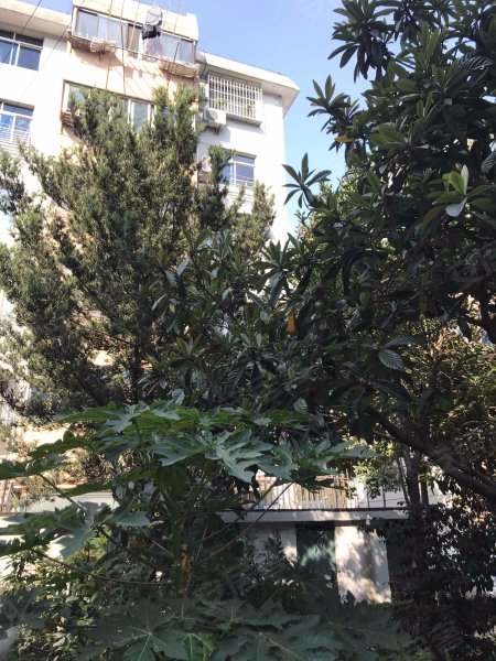 莲溪路430弄小区 