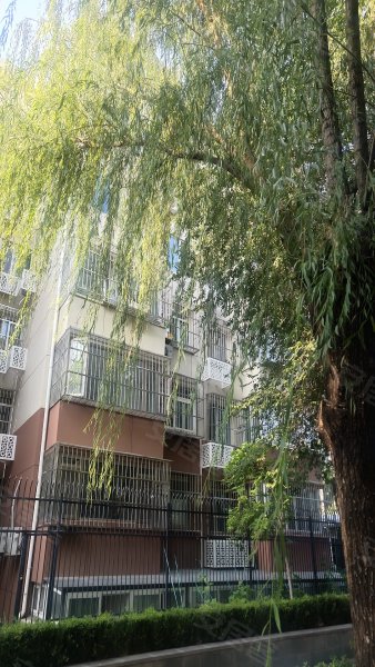 长青园小区,长青园路-北京长青园小区二手房,租房,房价-北京安居客