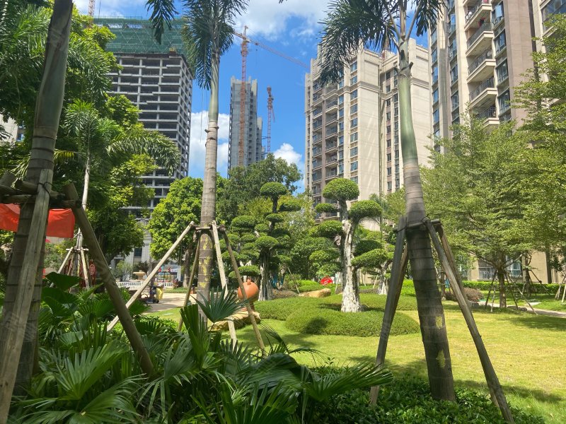 恒大绿洲,苍海路6号-梧州恒大绿洲二手房,租房,房价-梧州安居客