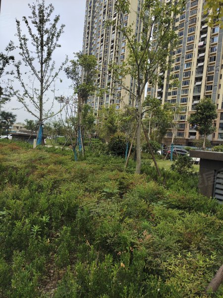 滨江花园,阳德西路-宣城滨江花园二手房,租房,房价-宣城安居客