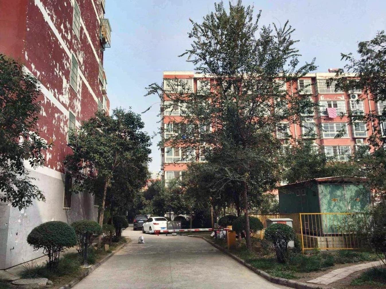 金盾小区(洛龙)3室2厅2卫143㎡南北106万