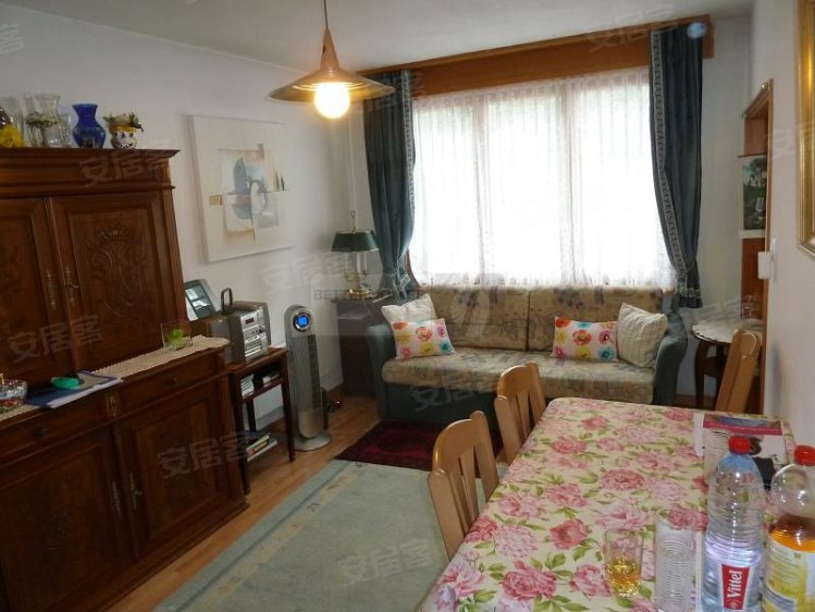 瑞士约¥316万SONNIG UMGEBEN VON SCHATTIGEN BÄUMEN二手房公寓图片