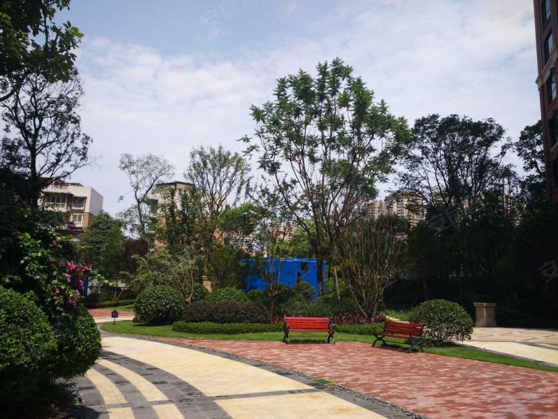 中德英伦联邦(c区)