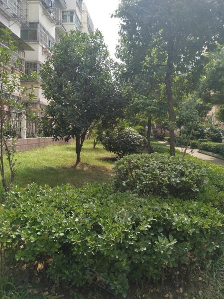 南国花园,濉溪路254号-合肥南国花园二手房,租房,房价-合肥安居客