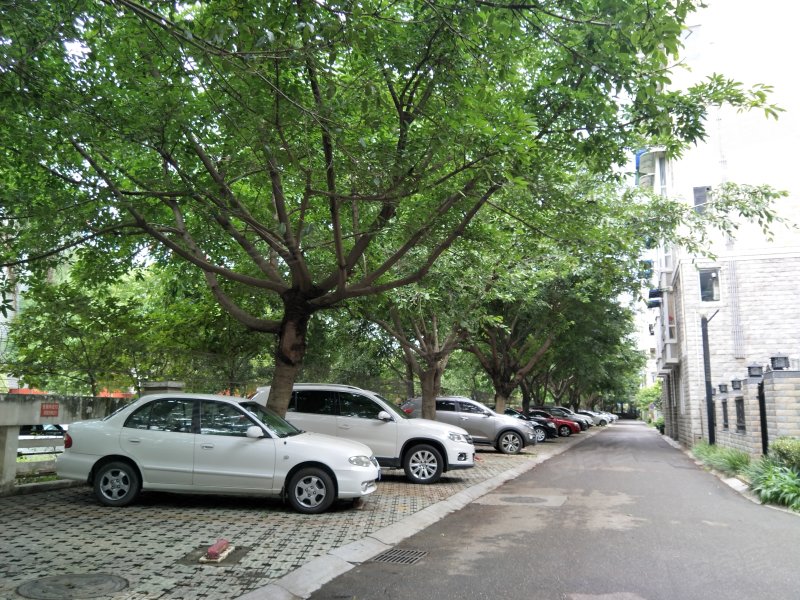 小岛花园城二期水语郡