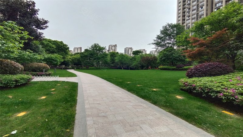 伟星金域蓝湾a区