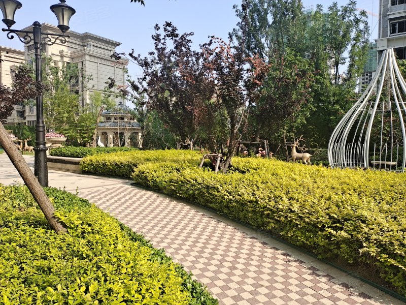 恒大悦珑湾,长江一路-滨州恒大悦珑湾二手房,租房,房价-滨州安居客