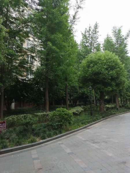 嘉州美都(二期欢快园)