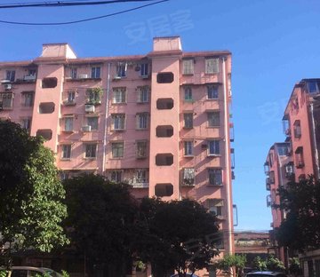 红梅新村(348弄)